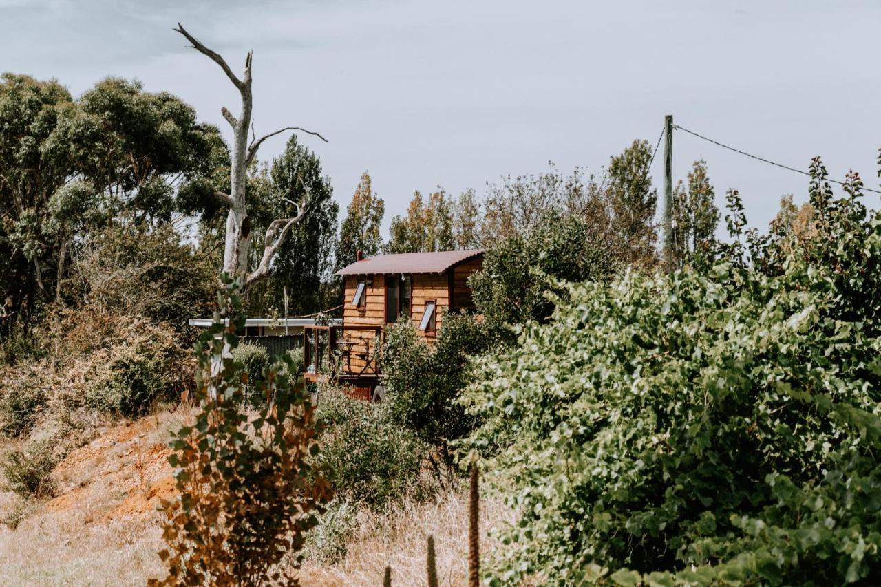 Belmont Homestead Swansea Ngoại thất bức ảnh
