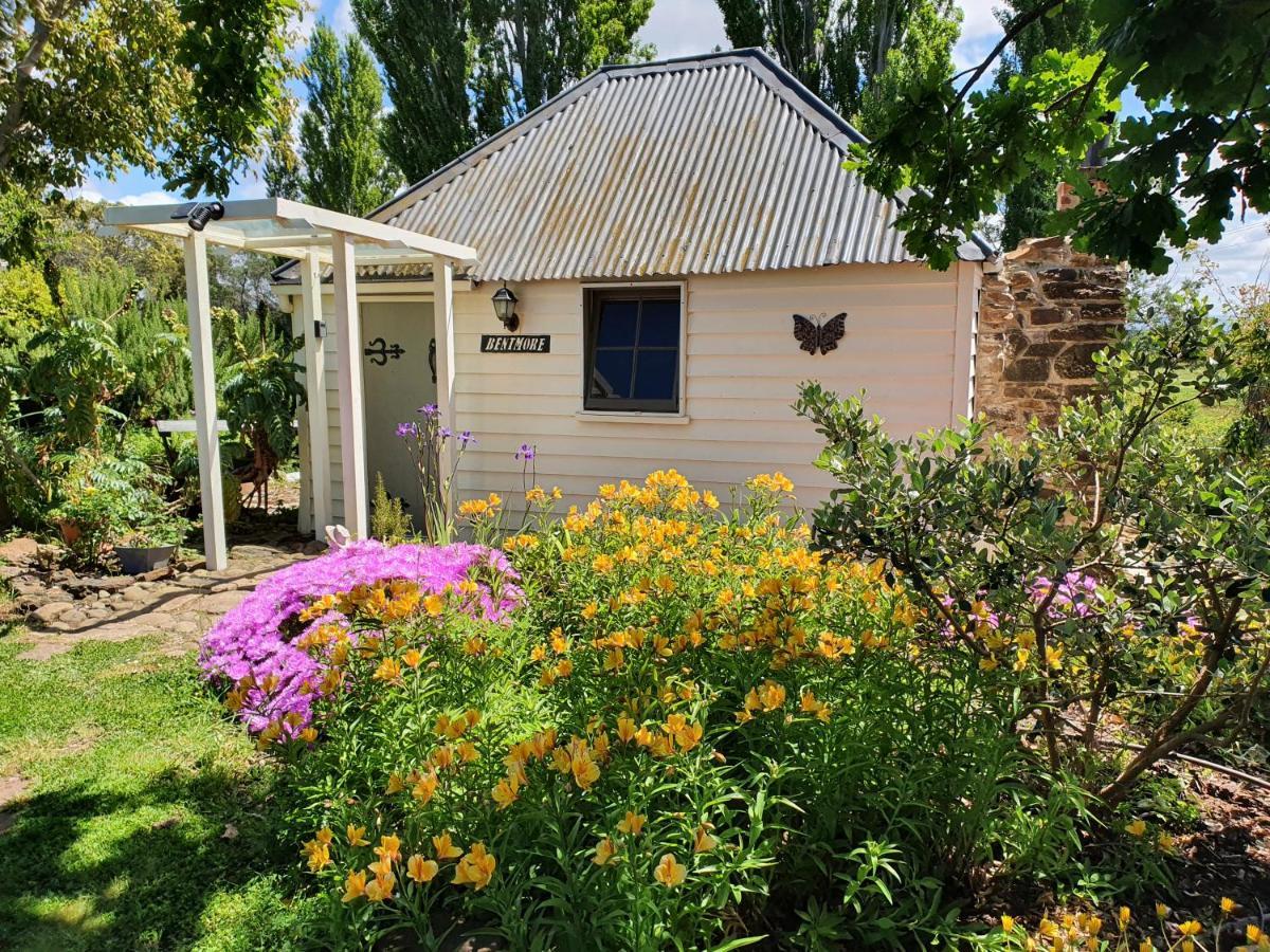 Belmont Homestead Swansea Ngoại thất bức ảnh